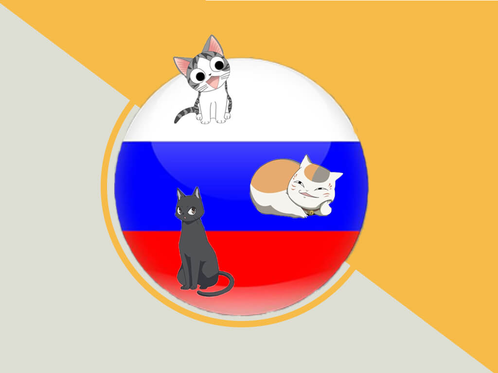 Cats From Russia