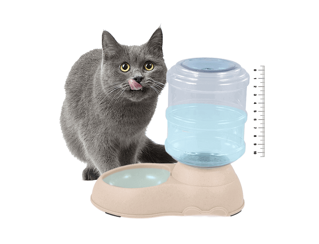 How Much Water Should Russian Blue Cat Needs To Drink In A Day